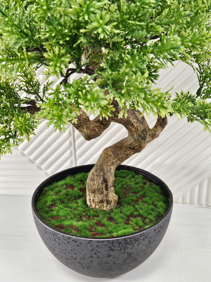 искусственный бонсай москва