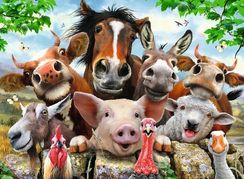 Puzzle Say cheese! 300 pcs