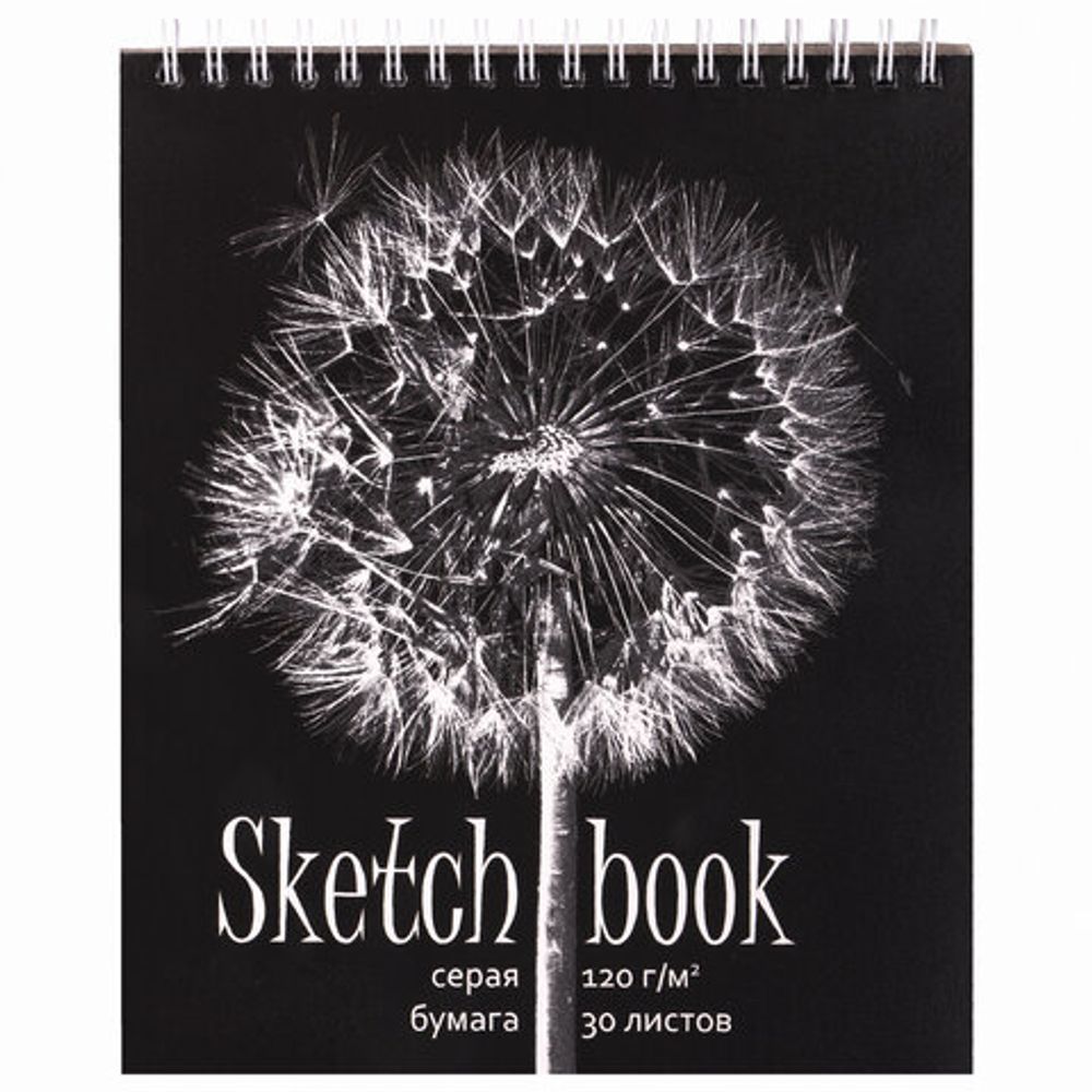 Скетчбук, серая бумага 120 г/м2, 170х195 мм, 30 л., гребень, подложка, цветная фольга, "Одуванчик", 98672