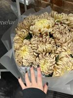 Гранд букет из кудрявой хризантемы КУПЕР