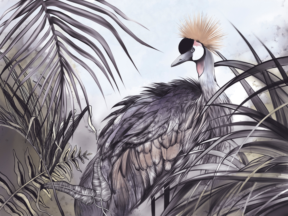 Коллекция Animality