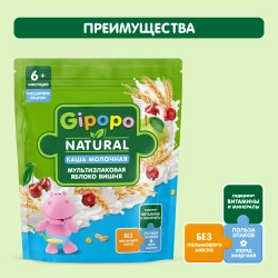 Каша Gipopo молочная Мультизлаковая яблоко вишня 170г с 6 месяцев