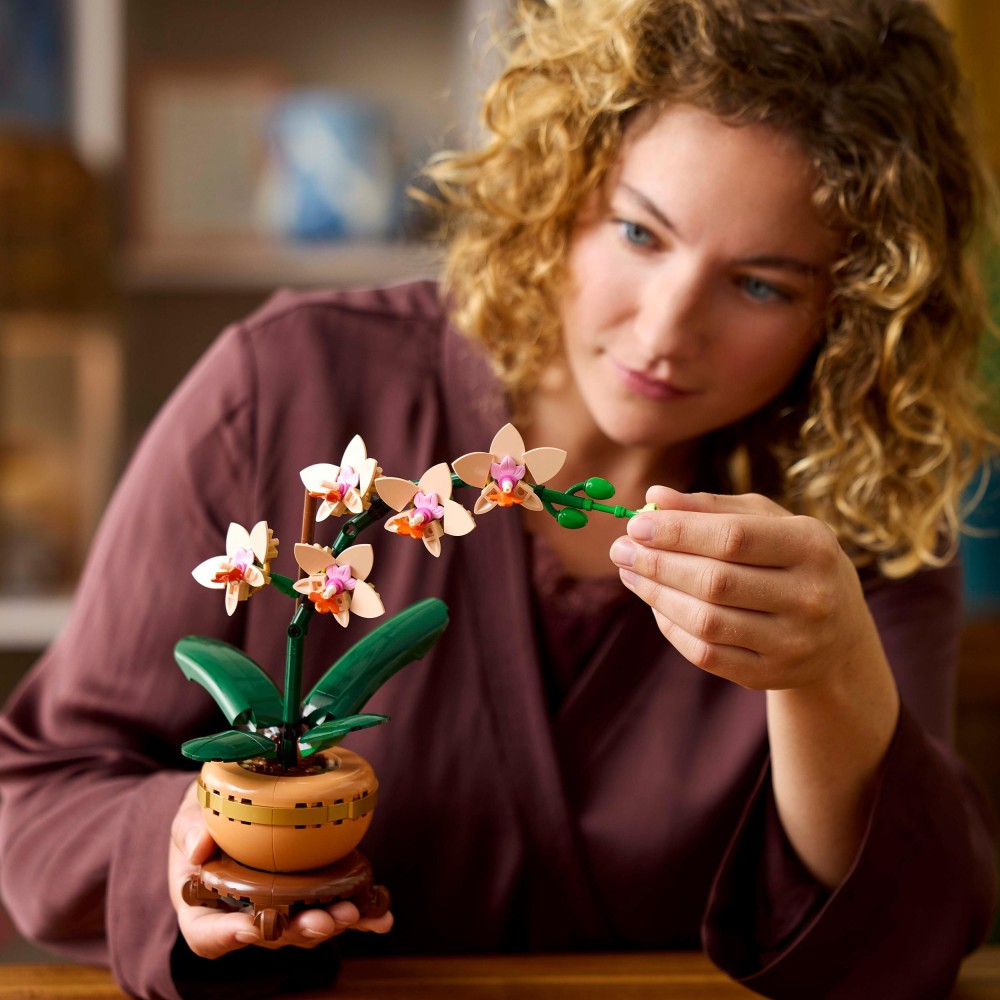 LEGO Botanicals - Маленькая орхидея 10343