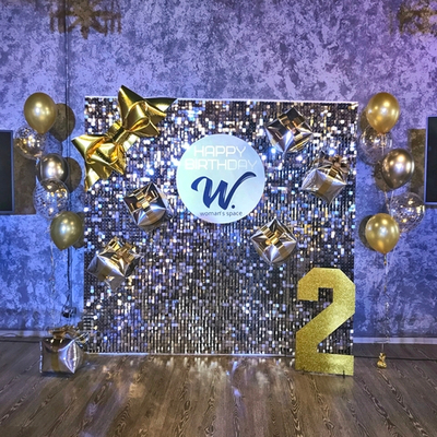 Фотозона паетки СЕРЕБРО 010