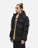 Пуховик Anteater AW25 Downjacket Hooded Crispy черный