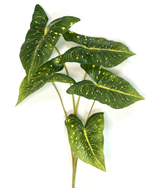 Антуриум ветка 75 см