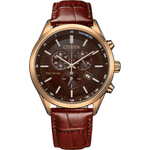 Мужские наручные часы Citizen AT2573-07X