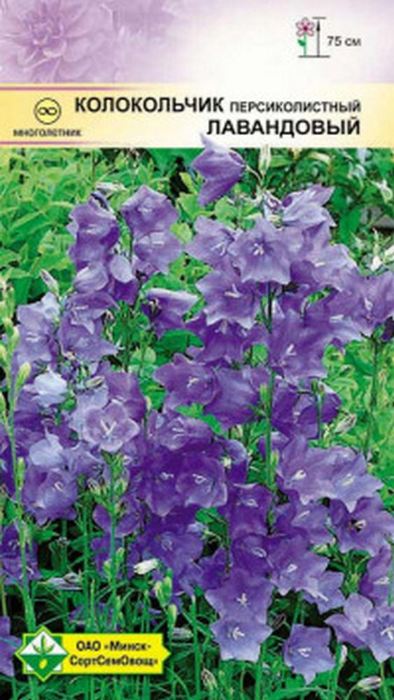 Колокольчик &quot;Лавандовый&quot; 0,1г., Германия.
