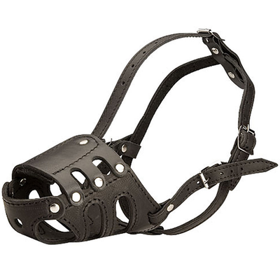 Намордник кож №11 (спаниель) rich breed