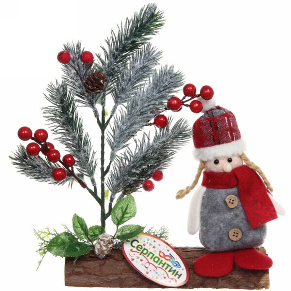 Хвойная композиция «Сказочное настроение» 26*20*6 см