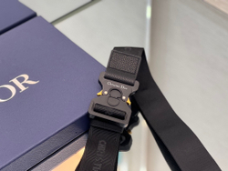Christian Dior Saddle 26 cm