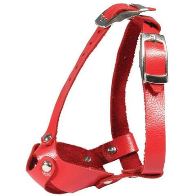 Намордник кожаный "Йорк мини", 1,5кг, 100*80*70мм, Gamma