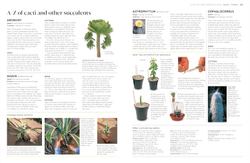 RHS Propagating Plants: How to Grow Plants for Free