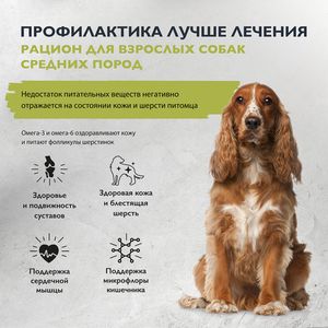 Сухой корм Brit Care Dog Adult M собак средних пород для кожи и шерсти с лососем и индейкой, Здоровая кожа и шерсть