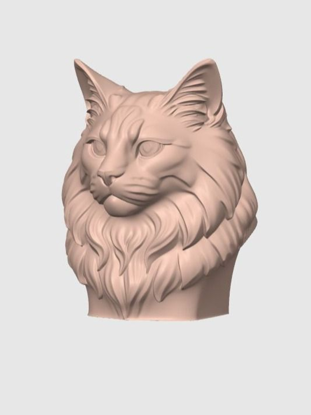 Норвежская лесная кошка