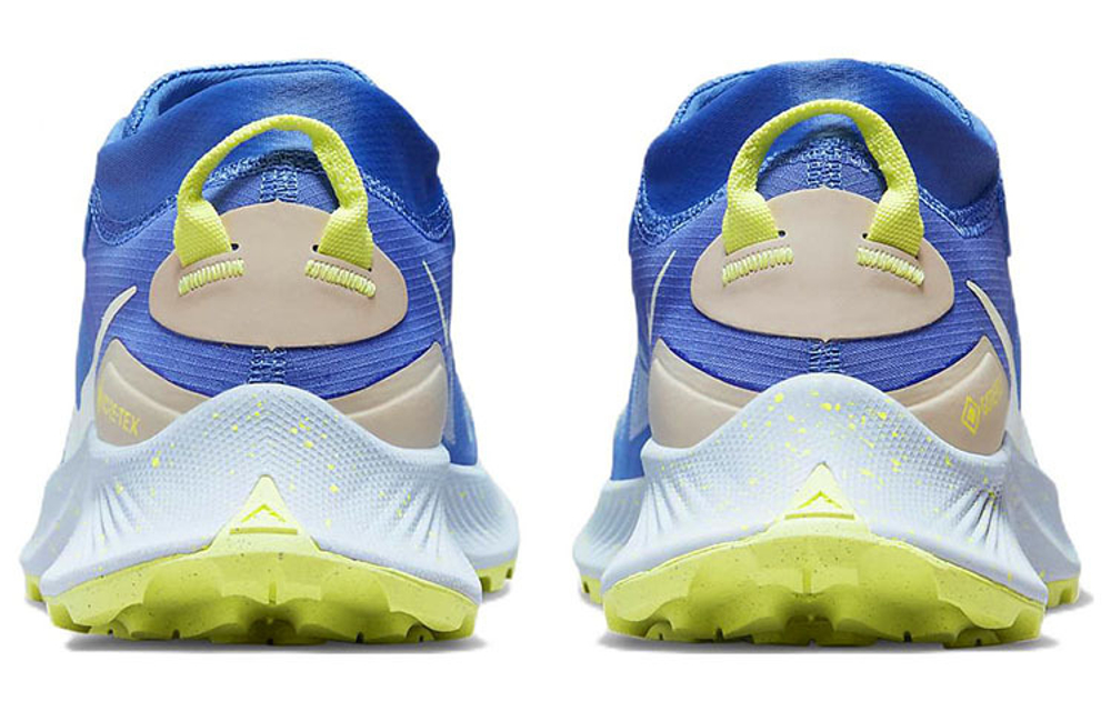 Кроссовки Nike Pegasus Trail 3 Gore-Tex (Женская размерная сетка)