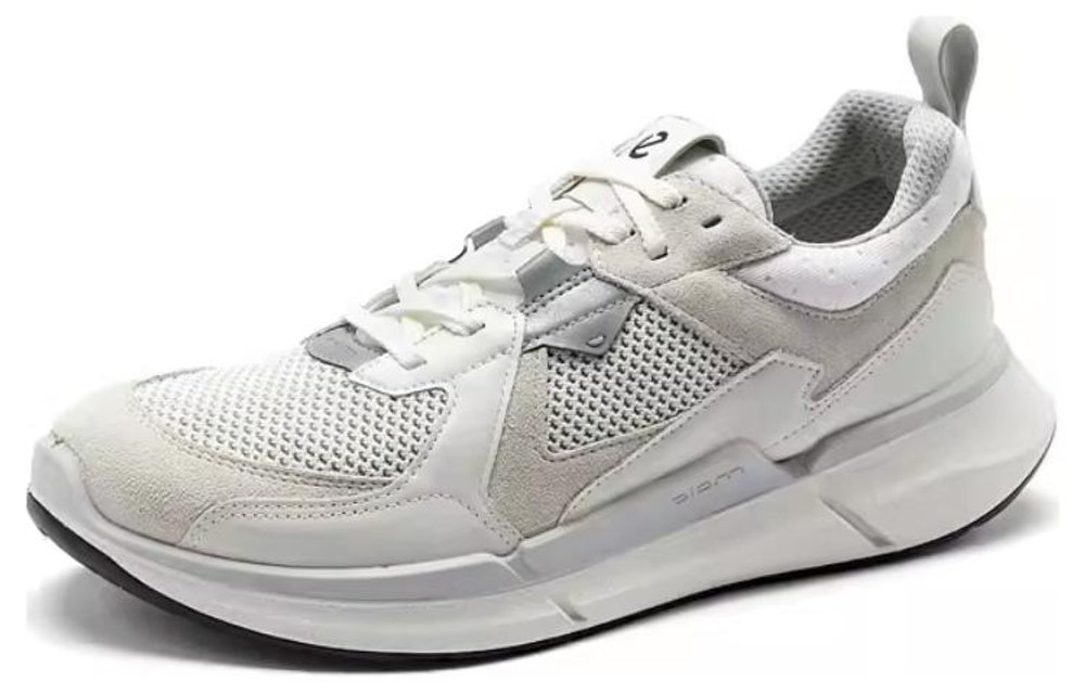 Ecco Biom 2 2