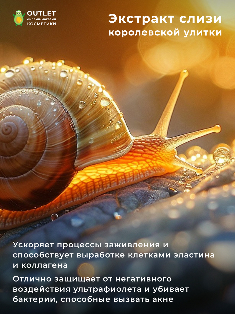 FARMSTAY - СЫВОРОТКА ДЛЯ ЛИЦА АМПУЛЬНАЯ ESCARGOT NOBLESSE INTENSIVE AMPOULE , 250 ML