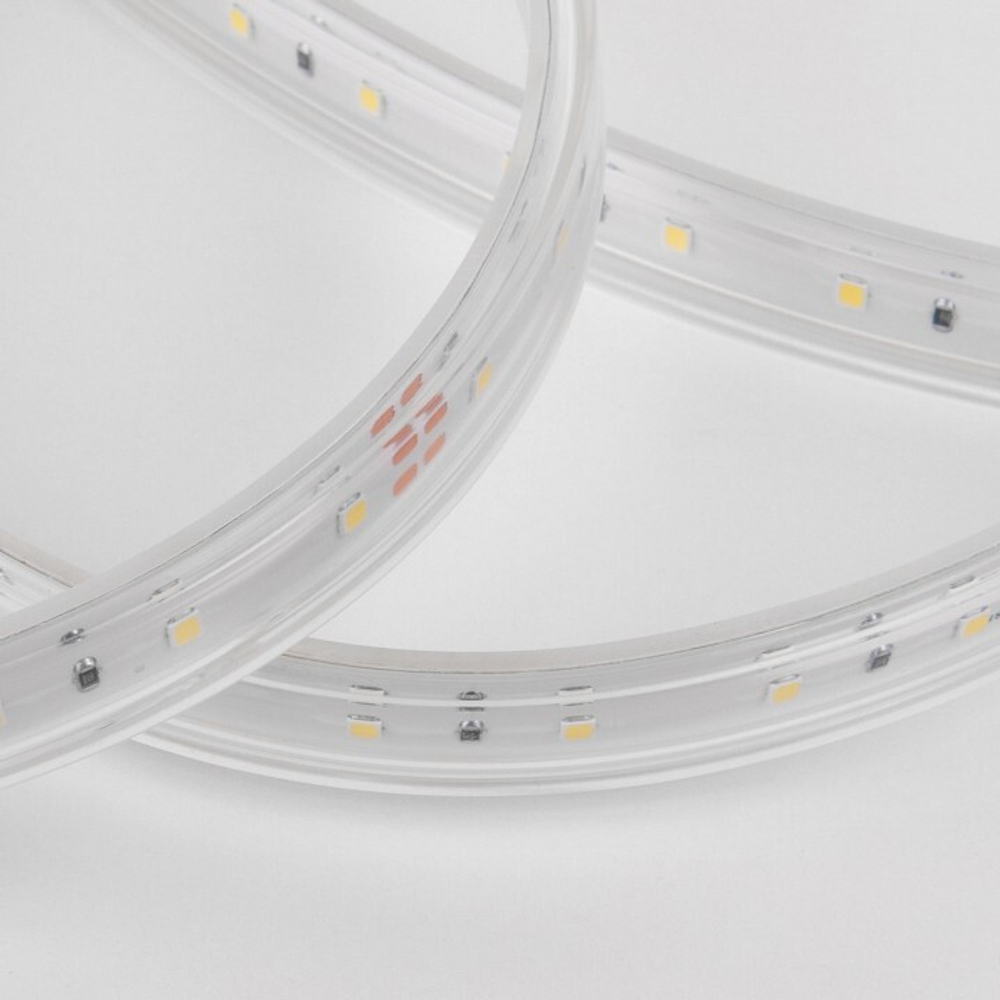 Лента светодиодная Elektrostandard LS014 220V