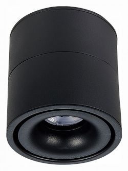 Светильник на штанге ST-Luce ST652 ST652.442.12