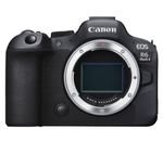Беззеркальный фотоаппарат Canon EOS R6 Mark II Kit 24-105/4 L IS USM