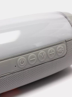 Беспроводная колонка TG-157 (10W/TF/FM/USB) RGB