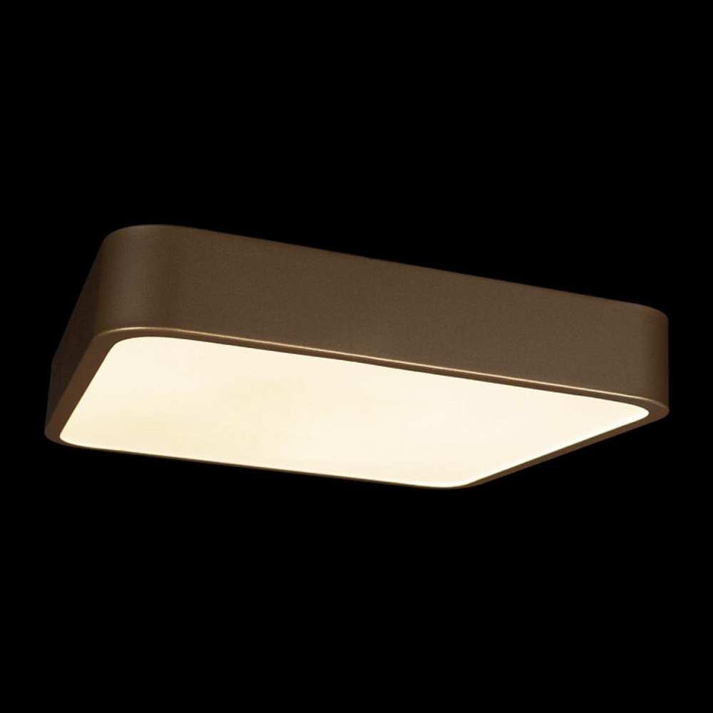 Накладной светильник Loft it Flims 10228/C