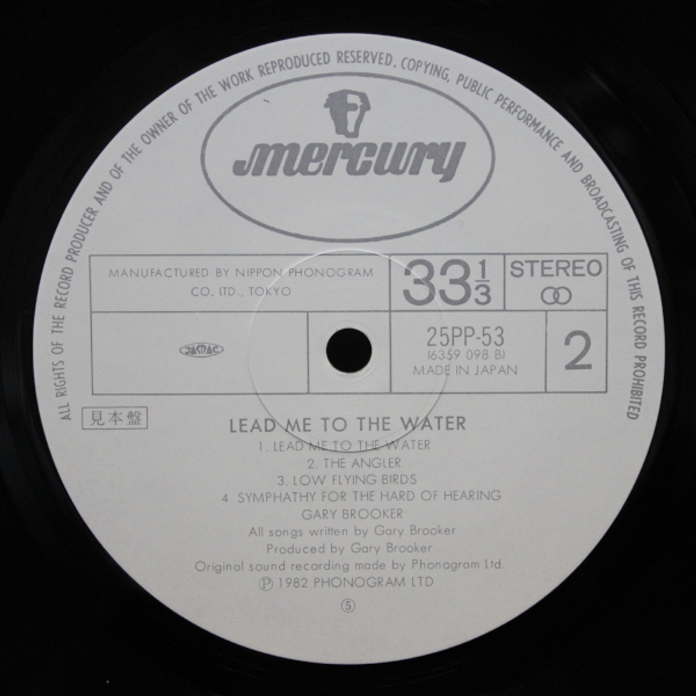 Gary Brooker / Lead Me To The Water (LP)