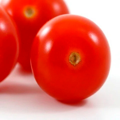 ТАНЯ F1 семена томата (Seminis | Alexagro)