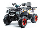 Квадроцикл MOTOLAND 200 WILD TRACK X PRO