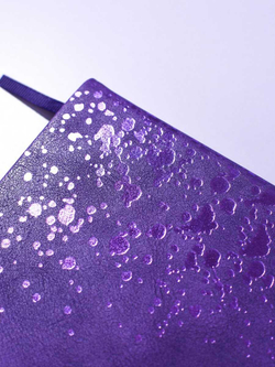 4021c9dc_b3b3_11ef_ba9b_d05099d5d12d_3cff88e3_8358_11f0_bab7_d05099d5d12d