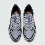 кроссовки Nike Air Zoom Pegasus 41 Gtx Light Pumice FQ1356-003