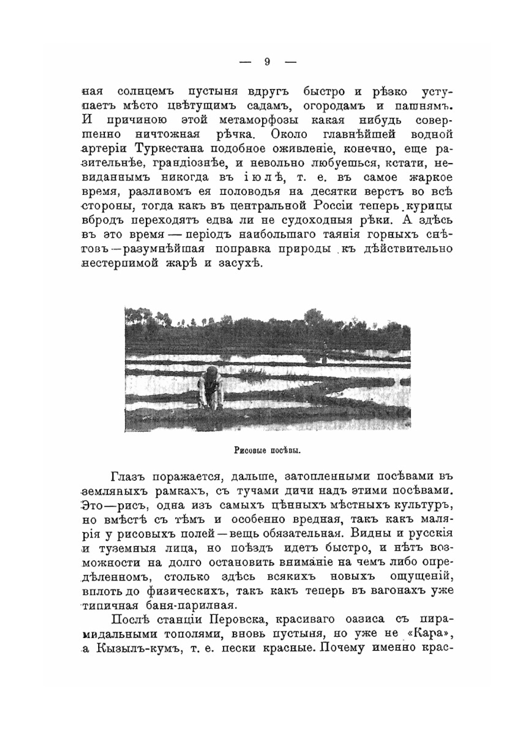 Очерки нового Туркестана | В. Вощинин
