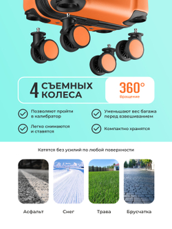 Набор Xs/S ручная кладь Папайя