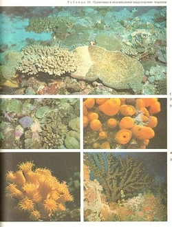 Жизнь животных (комплект из 7-ми книг)