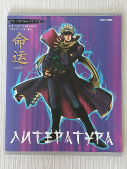Комплект предметных тетрадей 48 листа А5+. "Аниме", общая. Формат А5+(163*203 мм). Арт.48-9421. С полями. 10 шт.