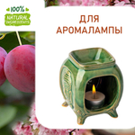 Слива и Сакура, отдушка для свечей и мыла