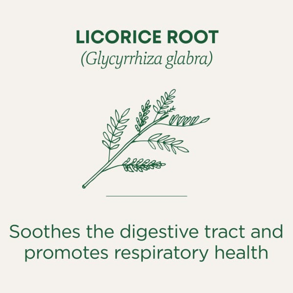 Traditional Medicinals, корень органической солодки, без кофеина, 16 чайных пакетиков, 24 г (0,85 унции)
