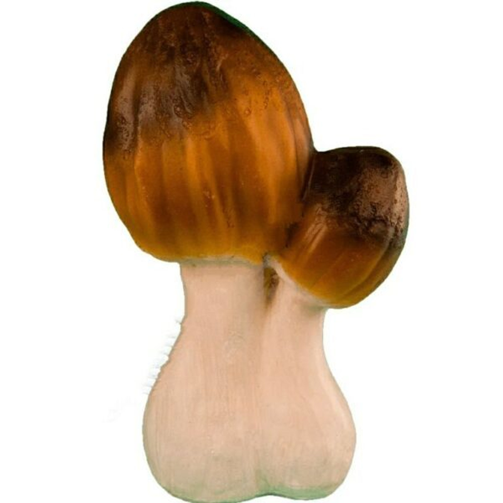 Два сморчка