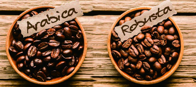 Интересные факты о кофейных зернах