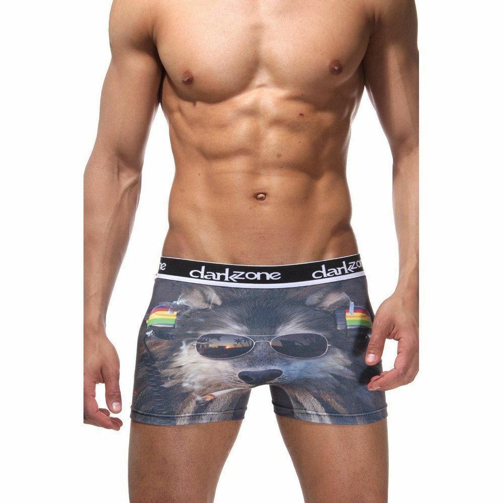 Трусы мужские боксеры с 3D принтом DARKZONE DZN1091