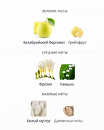 Dior Addict Eau Fraiche 100ml (duty free парфюмерия)