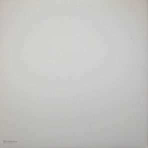 The Beatles / The Beatles (2LP)