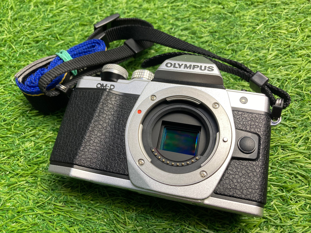 Olympus OM-D E-M10 Mark II + 14-42mm (6300 кадров)
