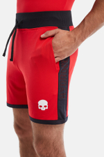 Теннисные шорты HYDROGEN MESH TECH SHORTS  (D00012-406)