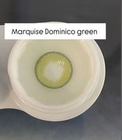 Светло - зеленые цветные линзы c окантовкой на 12 мес. Marquise Dominico green/ Яркие зеленые цветные линзы