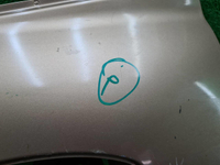 Дверь задняя левая Hyundai Santa Fe 1 (2000-2012)