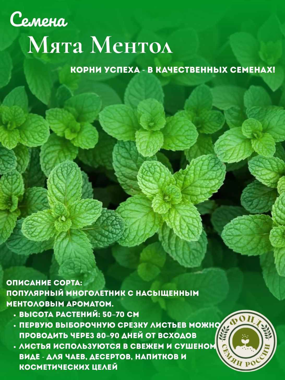 Мята Ментол, семена 0,04 гр.
