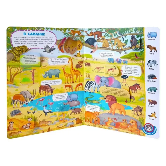 Виммельбух с окошками. Животные