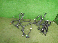 DSCN5818.JPG